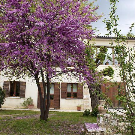 B&B Alte Paderno del Grappa Luaran gambar