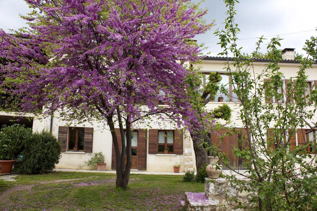 B&B Alte Paderno del Grappa Luaran gambar